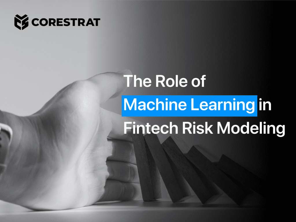 Role of machine learning in fintech risk modelling
